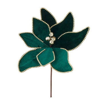 Green with Gold Edge Poinsettia - My Christmas