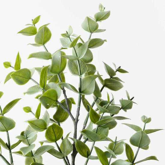 Grey Green Eucalyptus Spray - My Christmas