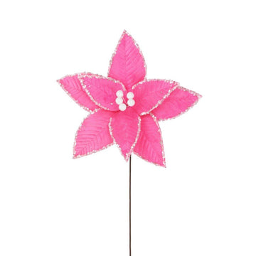 Hot Pink Sherbert Poinsettia - My Christmas