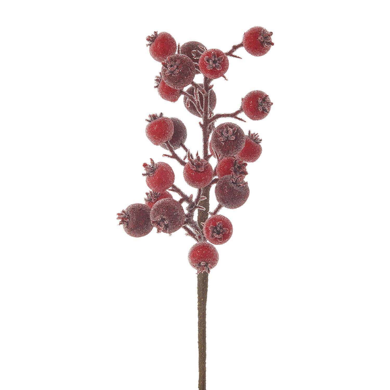 Iced Berry Spray - My Christmas