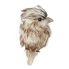 Kookaburra Decoration - Small - My Christmas