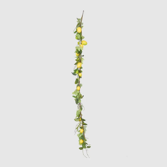 La Dolce Vita Lemon Garland - My Christmas