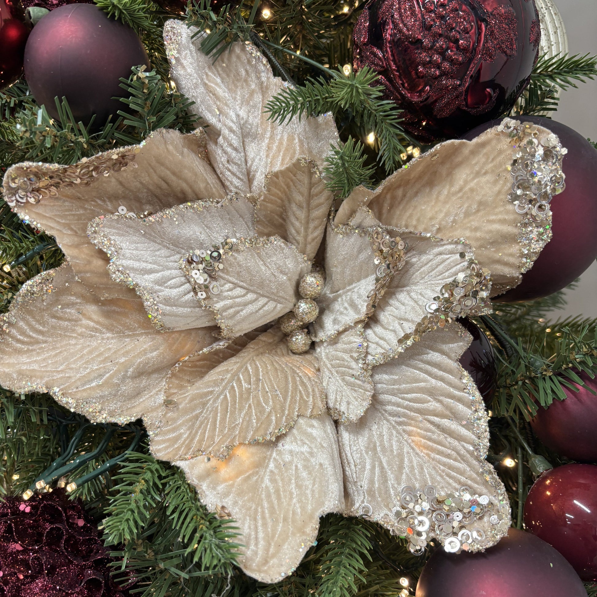 Large Champagne Poinsettia - My Christmas