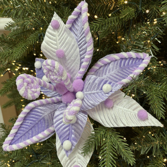 Lavender Dream Poinsettia - My Christmas