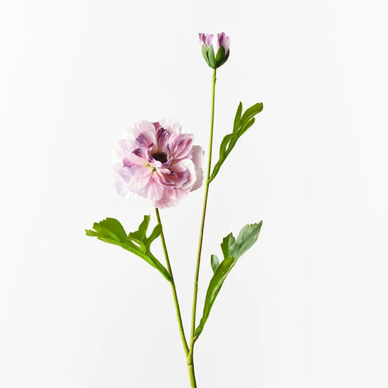 Lavender Ranunculus Spray - My Christmas