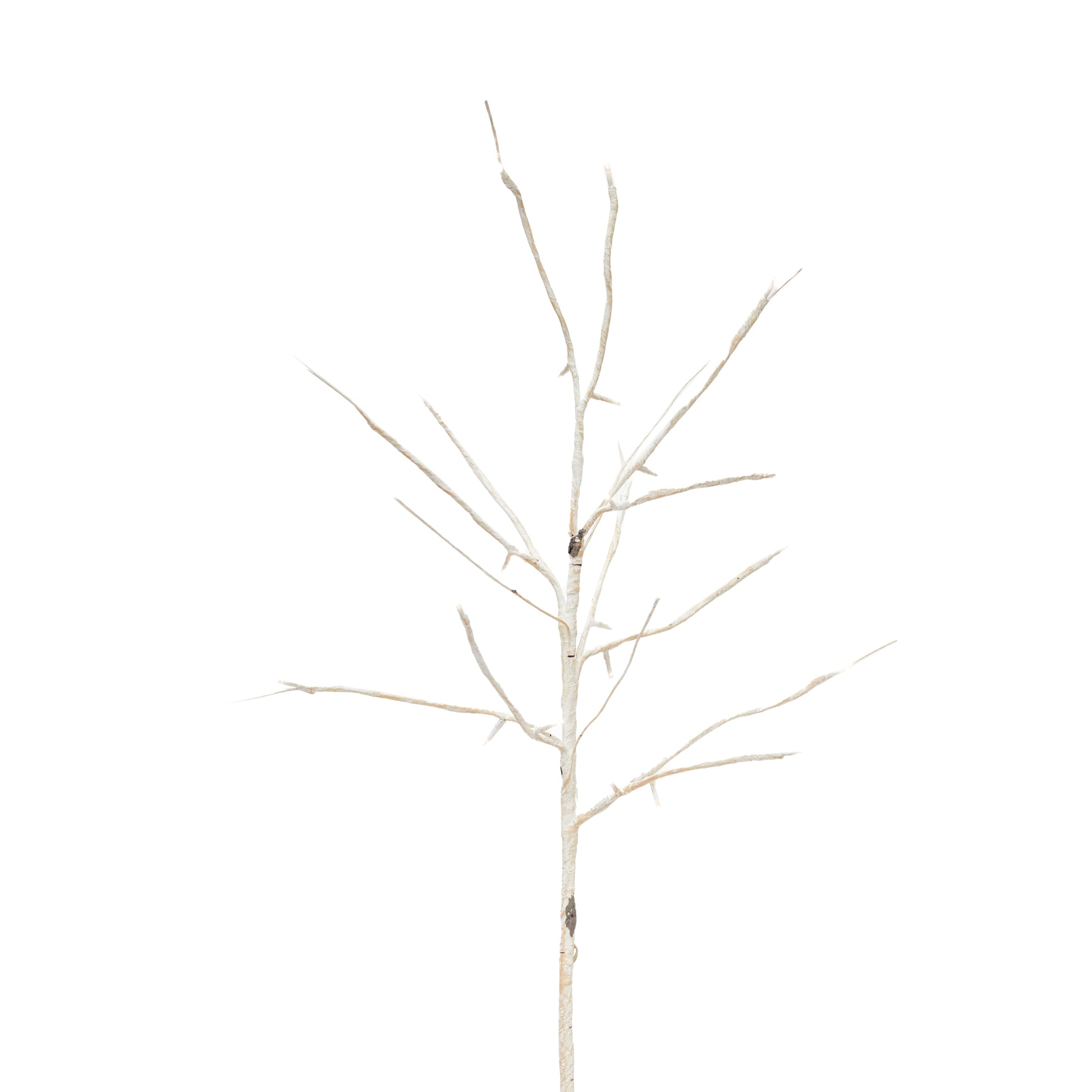 LED Birch Look Branch Spray - My Christmas