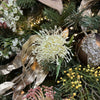 Leucospermum Protea - My Christmas