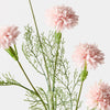 Light Pink Cornflower Spray - My Christmas