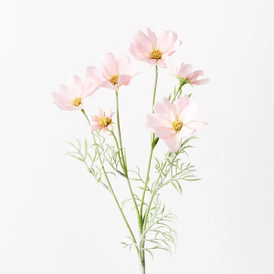 Light Pink Cosmos Spray - My Christmas