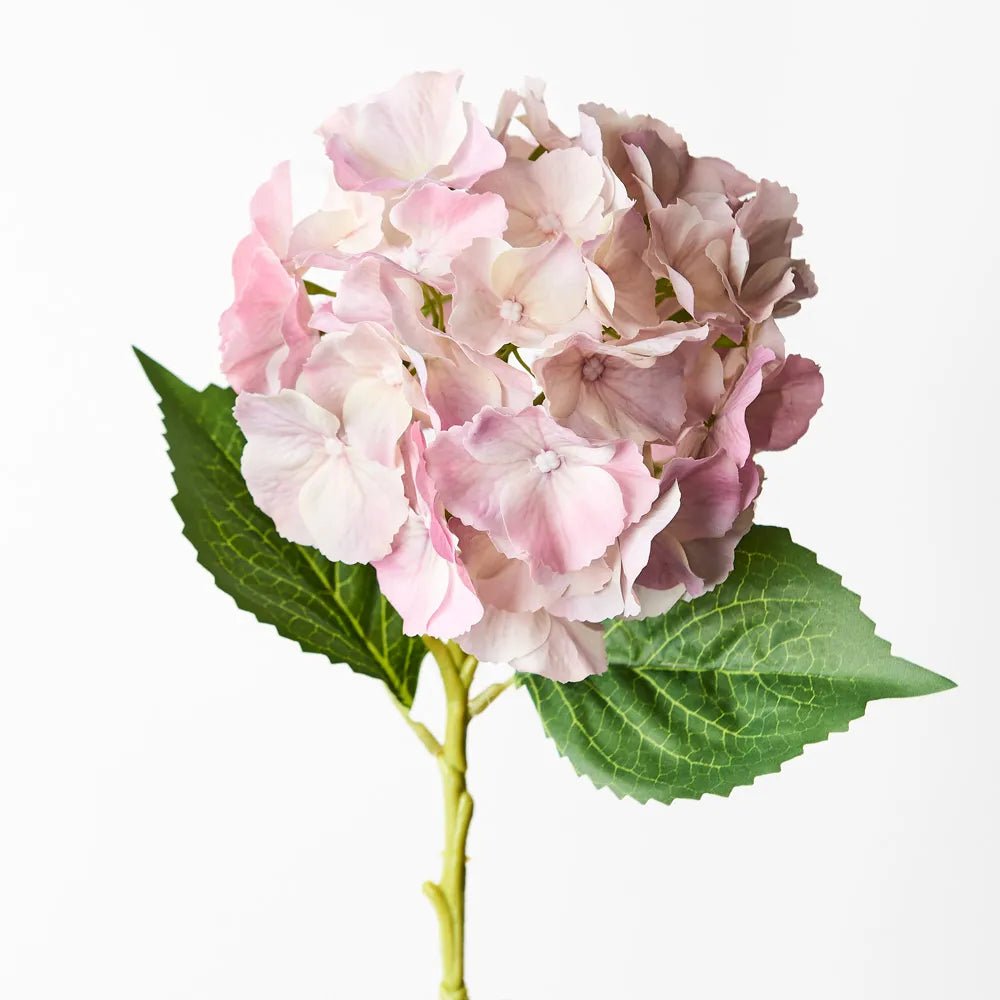 Light Pink Hydrangea - My Christmas