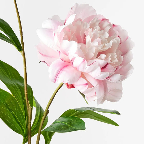 Light Pink Peony Spray - My Christmas