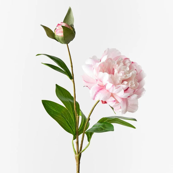 Light Pink Peony Spray - My Christmas