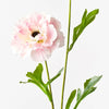 Light Pink Ranunculus Spray - My Christmas