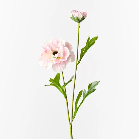 Light Pink Ranunculus Spray - My Christmas