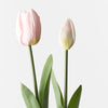 Light Pink Tulip Bud & Bloom - Set of 2 - My Christmas