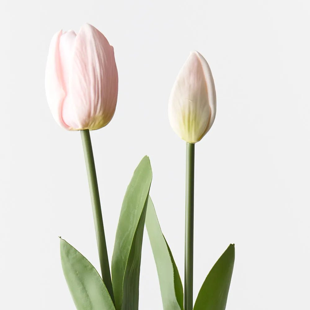 Light Pink Tulip Bud & Bloom - Set of 2 - My Christmas
