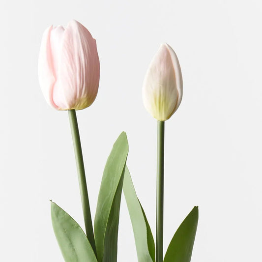 Light Pink Tulip Bud & Bloom - Set of 2 - My Christmas