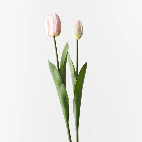Light Pink Tulip Bud & Bloom - Set of 2 - My Christmas