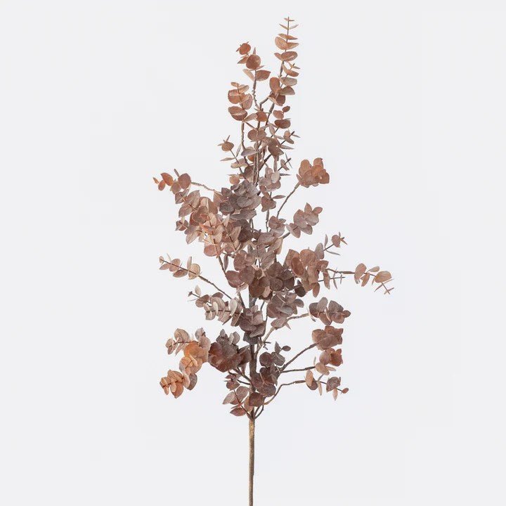 Long Eucalyptus Branch Brown - My Christmas