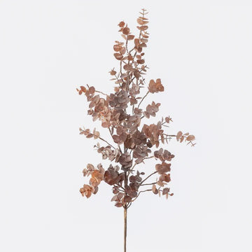 Long Eucalyptus Branch Brown - My Christmas