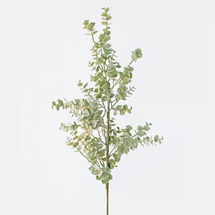 Long Eucalyptus Branch Green - My Christmas