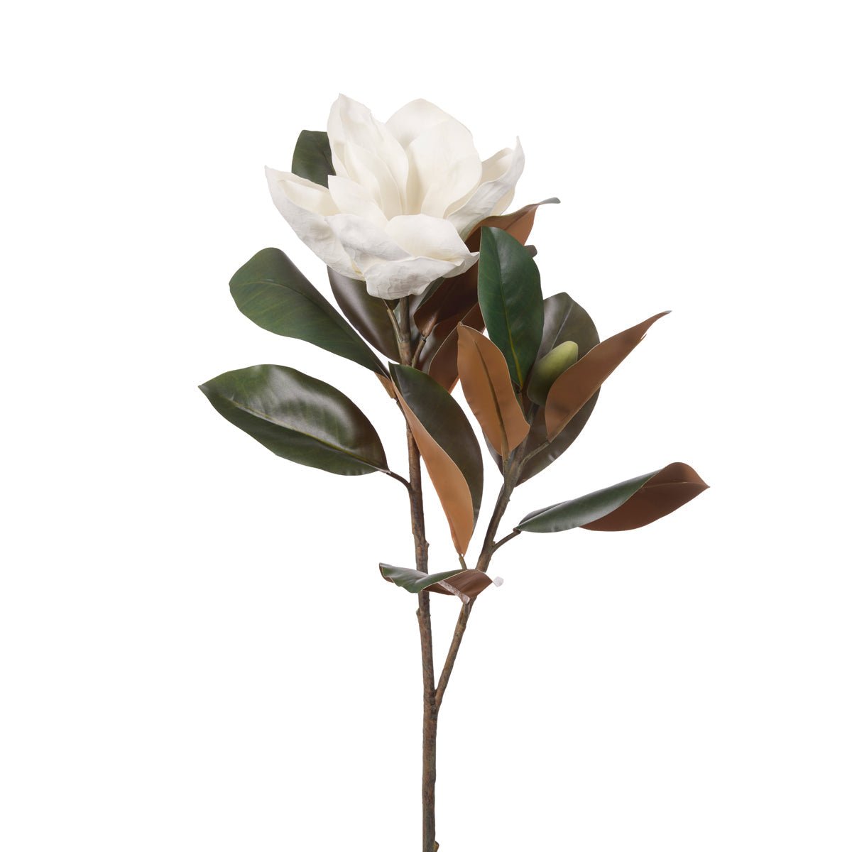 Magnolia Bloom Stem - My Christmas