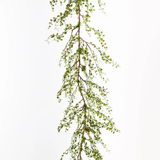 Maidenhair Vine Garland - My Christmas