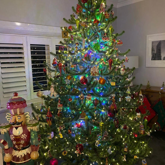Melbourne Tree - My Christmas