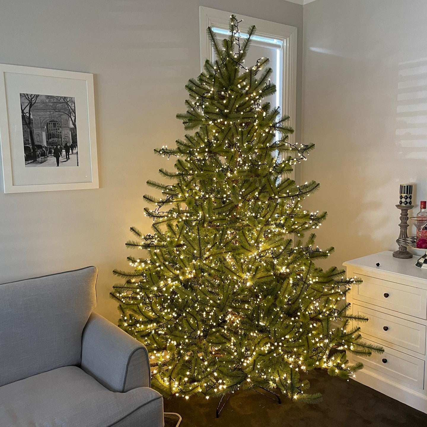 Melbourne Tree - My Christmas