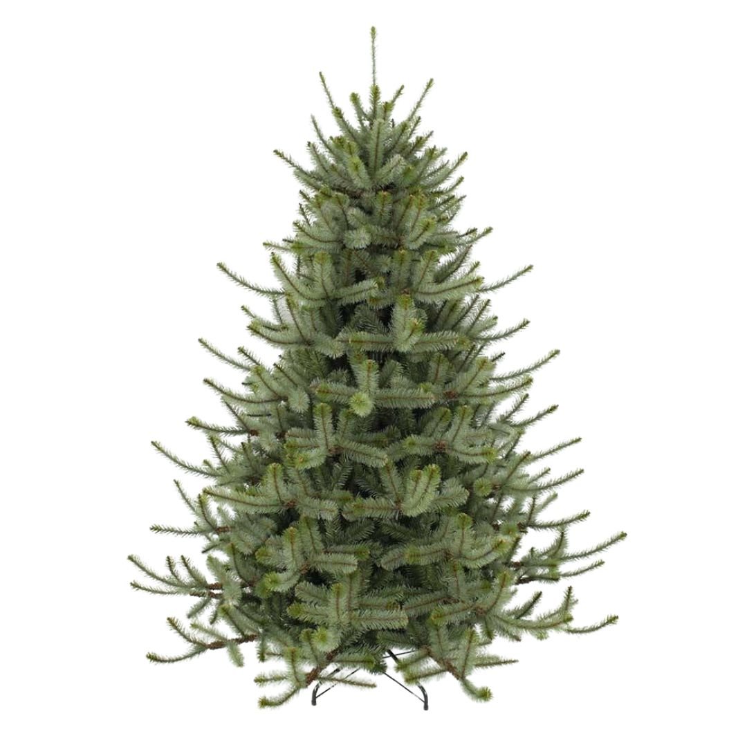 Melbourne Tree - My Christmas