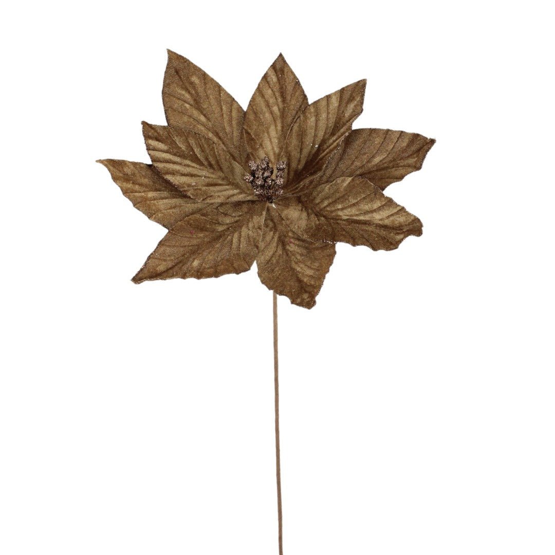 Mocha Poinsettia - My Christmas