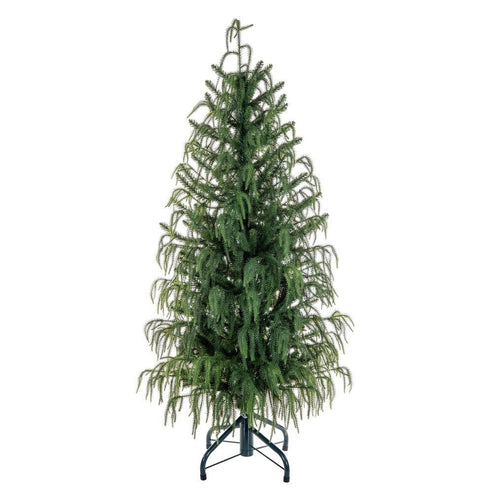 Norfolk Pine Christmas Tree – My Christmas