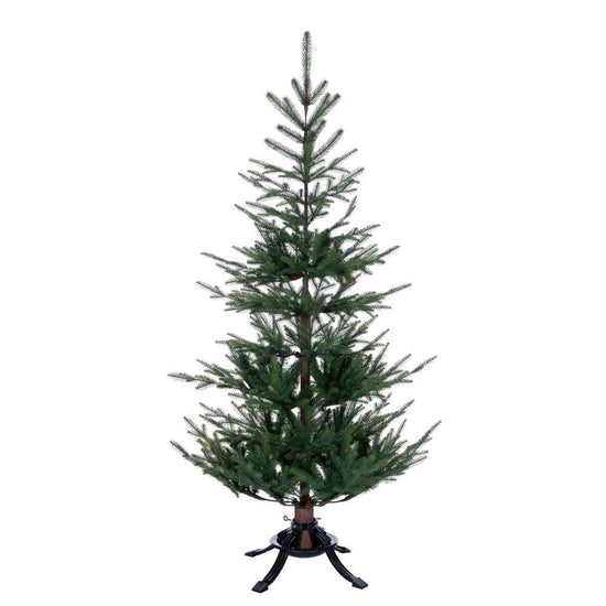 Norway Spruce Christmas Tree - My Christmas
