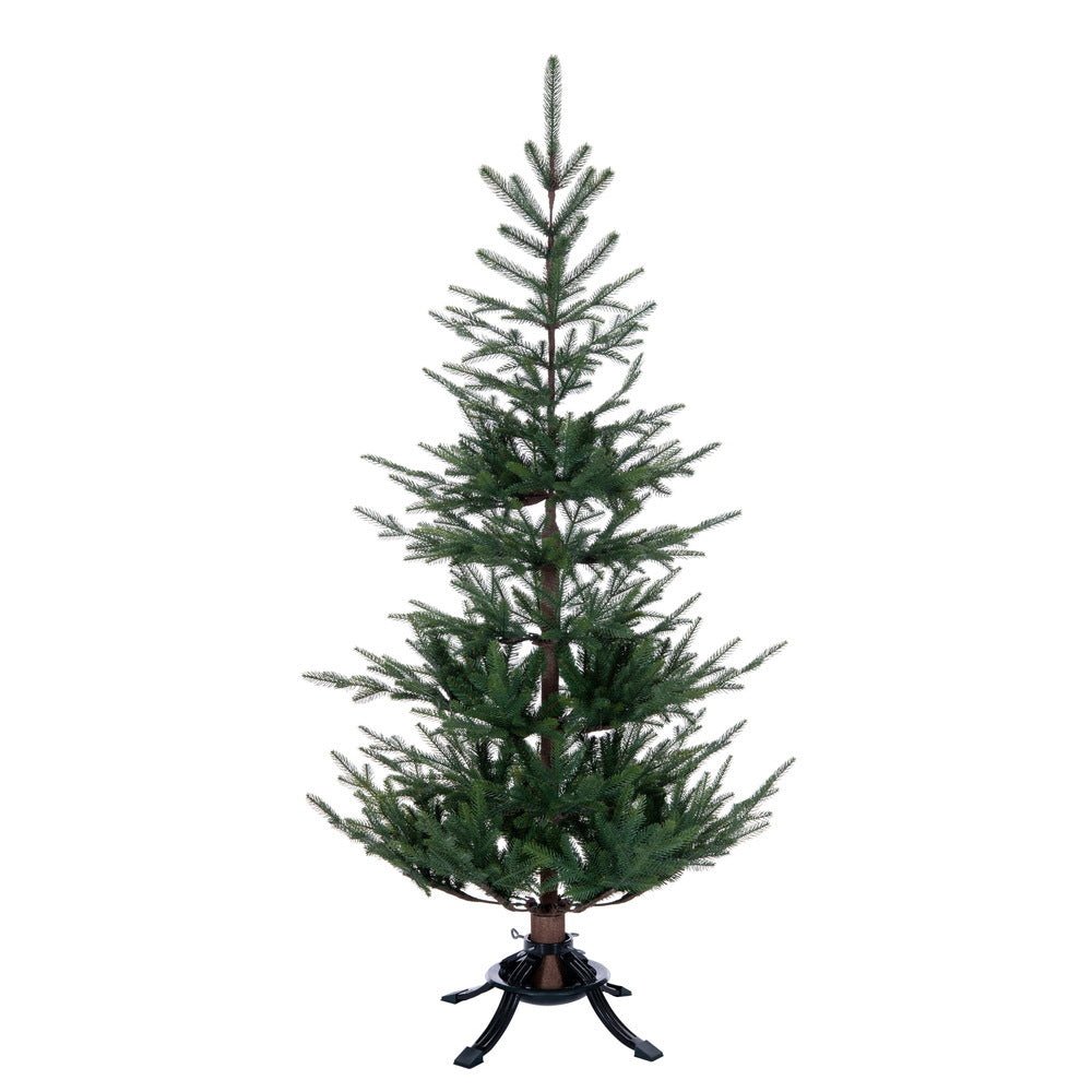 Norway Spruce Christmas Tree - My Christmas