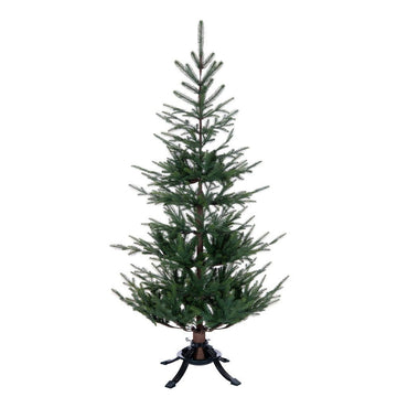 Norway Spruce Christmas Tree - My Christmas