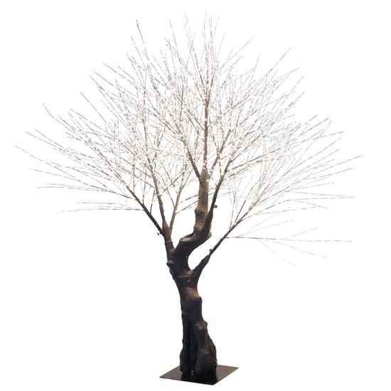Oakland Outdoor Tree - My Christmas
