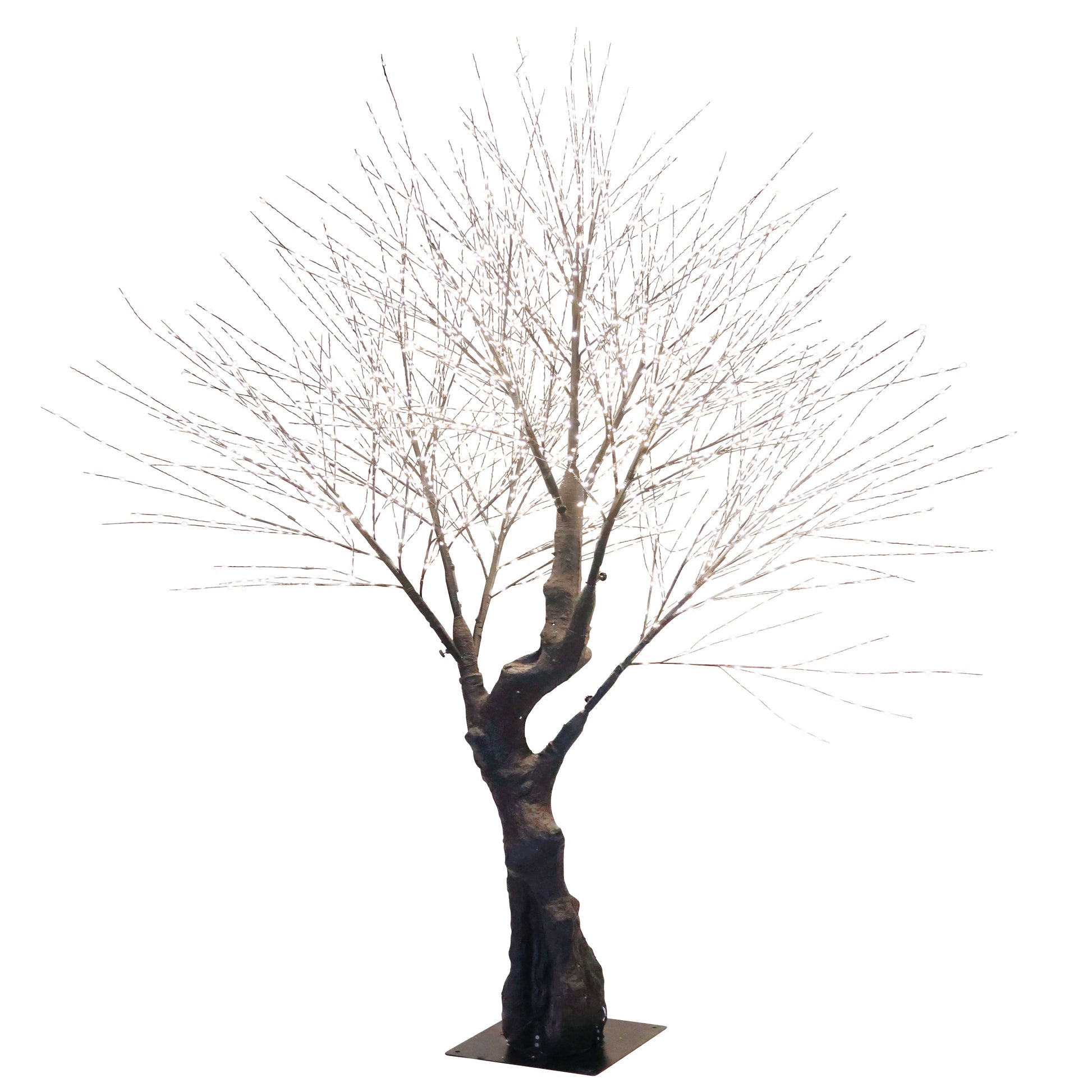 Oakland Outdoor Tree - My Christmas