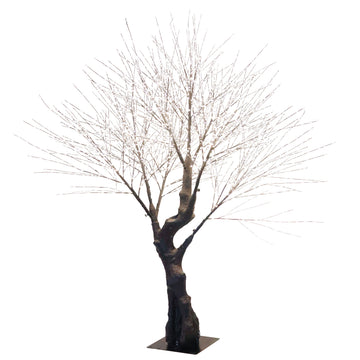 Oakland Outdoor Tree - My Christmas