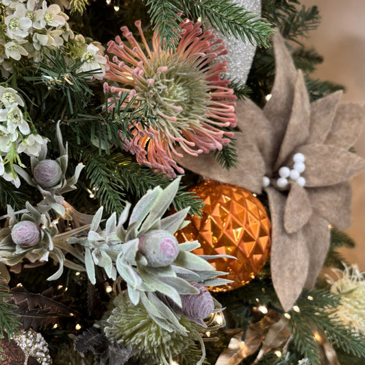 Orange Pincushion Protea - My Christmas