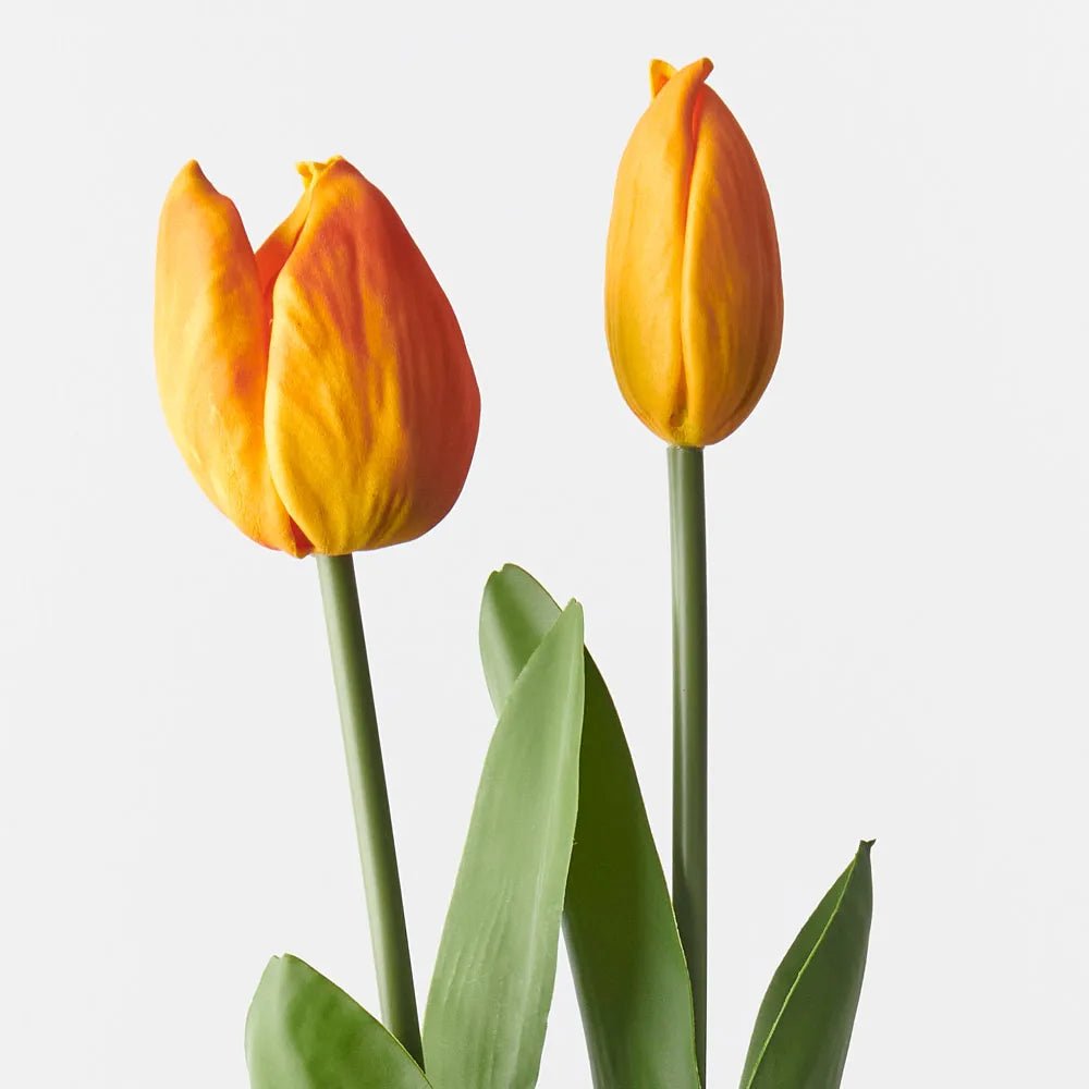 Orange Tulip Bud & Bloom - Set of 2 - My Christmas