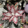 Pink and White Poinsettia - My Christmas