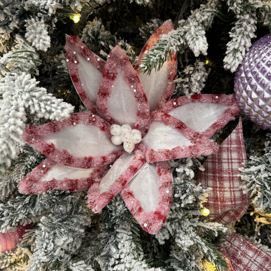 Pink and White Poinsettia - My Christmas