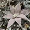 Pink Iced Poinsettia - My Christmas