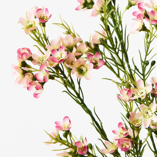 Pink Mauve Wax Flower Spray - My Christmas