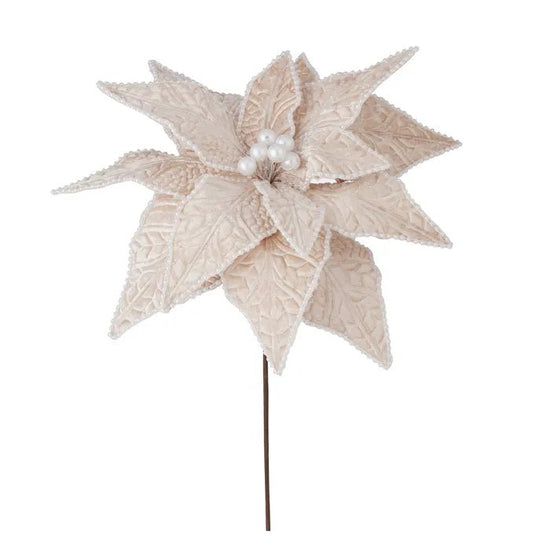 Pink with Pearl Poinsettia with Pearl - My Christmas