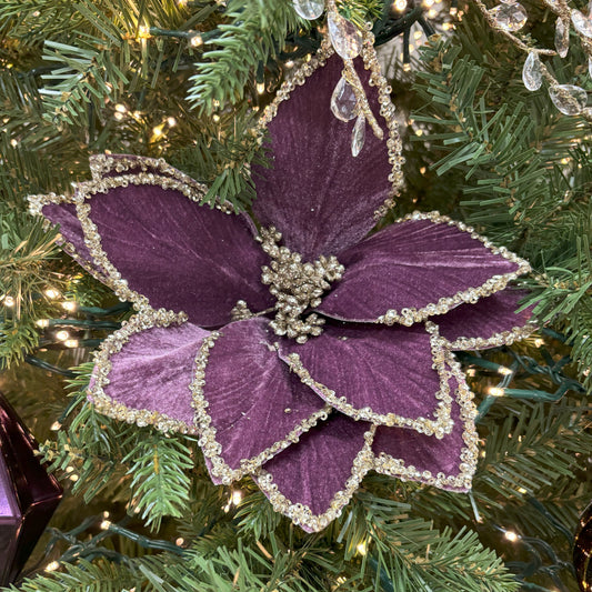 Plum Poinsettia - My Christmas