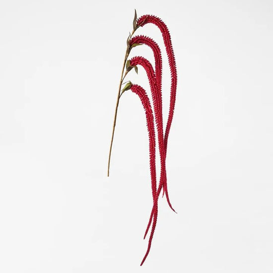 Plum Red Amaranthus Stem - My Christmas