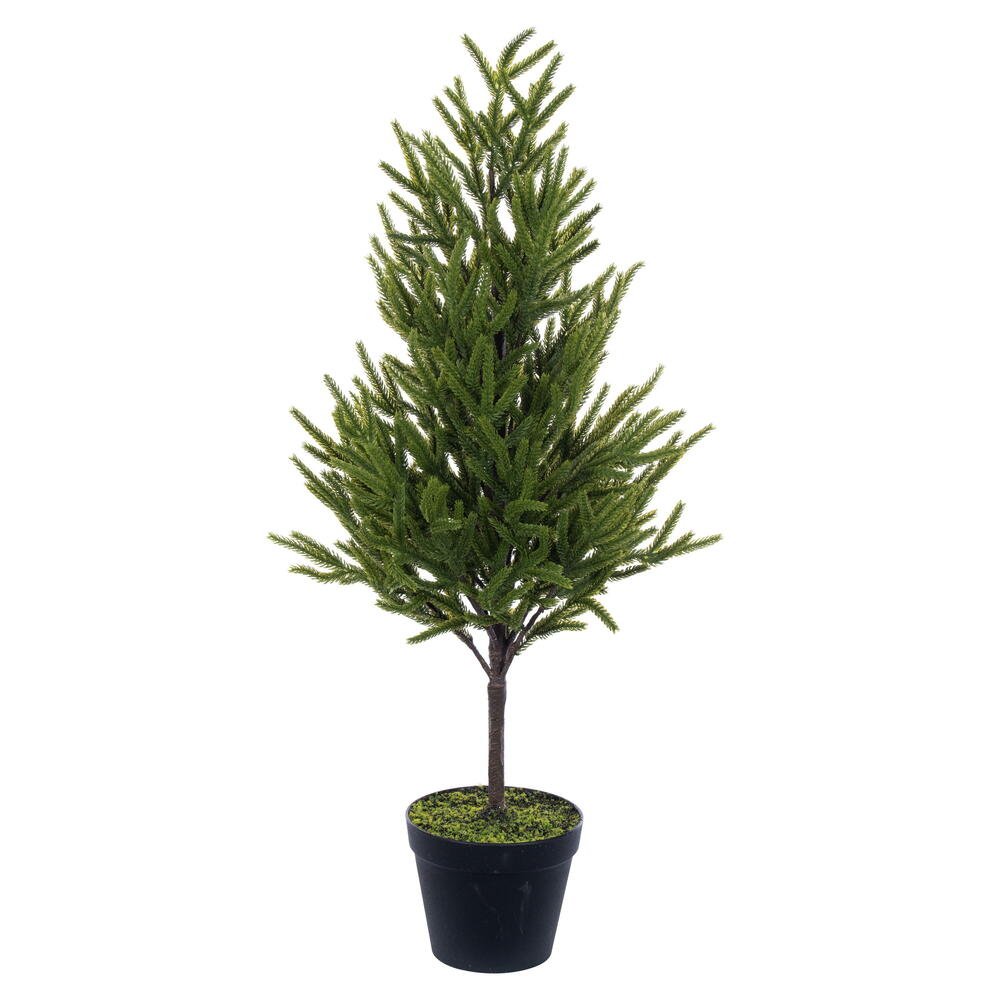 Potted Green Norfolk Pine Tree - 80cm - My Christmas