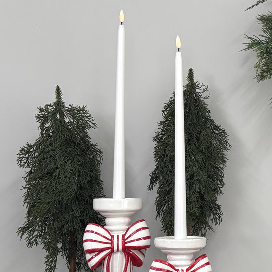 Potted Tree Pine Cypress - 50cm - My Christmas