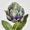 Purple Artichoke Stem - My Christmas